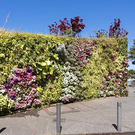 Home2book Spacious Family Home, Cruz Center 公寓 圣克鲁斯-德特内里费