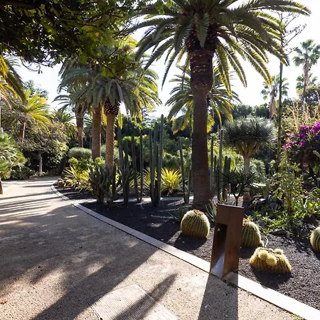 Home2book Spacious Family Home, Cruz Center 公寓 圣克鲁斯-德特内里费