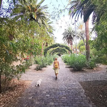 Home2book Spacious Family Home, Cruz Center 公寓 圣克鲁斯-德特内里费