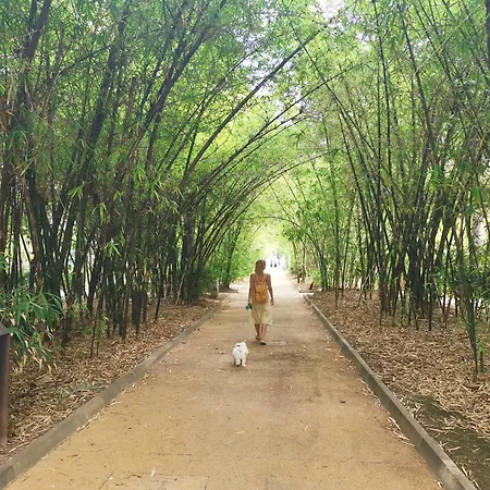 Home2book Spacious Family Home, Cruz Center * 圣克鲁斯-德特内里费