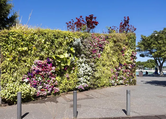 Home2book Spacious Family Home, Cruz Center Appartement Santa Cruz de Tenerife