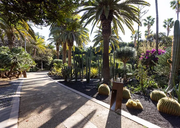 Home2book Spacious Family Home, Cruz Center Appartamento Santa Cruz de Tenerife