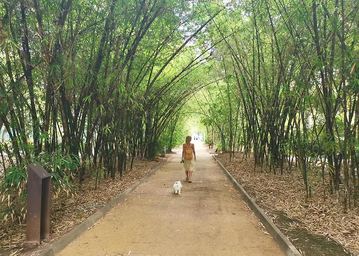 Home2book Spacious Family Home, Cruz Center * Santa Cruz de Tenerife